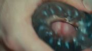 Hot sex toy pleasure in Early Morning – A Hot Start to the Day