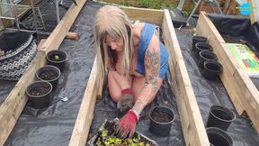 BBW Housewife's Gardening Time
