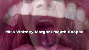 Miss Whitney Morgan Mouth Scoped