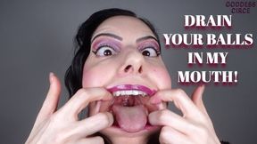 DRAIN YOUR BALLS IN MY MOUTH! (Video request)