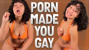 Porn Made You Gay