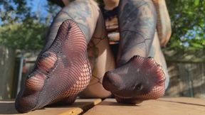 Morning fishnets