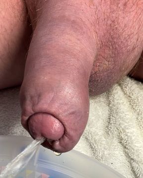 Cock head peeking out of foreskin as I piss