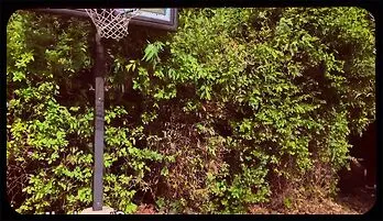 Forbidden Fantasy with Busty Blonde Stepdaughter full length video