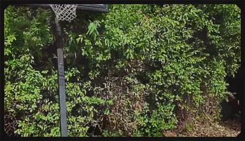 Forbidden Fantasy with Busty Blonde Stepdaughter