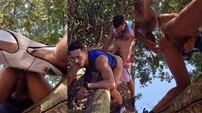 resolvi engravidar minha puta no mato