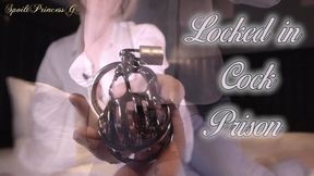 Locked in your Cock Prison!