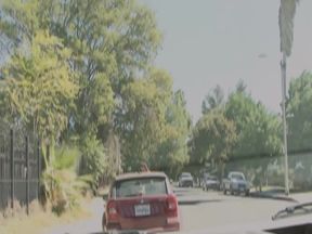 Caught Housewives Scene-2_brunette with Big Tits, Housewife Loves to Fuck Her Muscular Neighbor