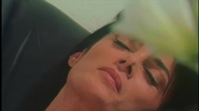 The White Venus in the Office Swallows Everything