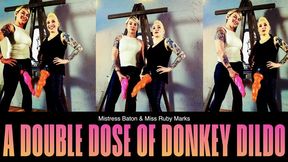 A Double Dose Of Donkey Dildo HD for QT