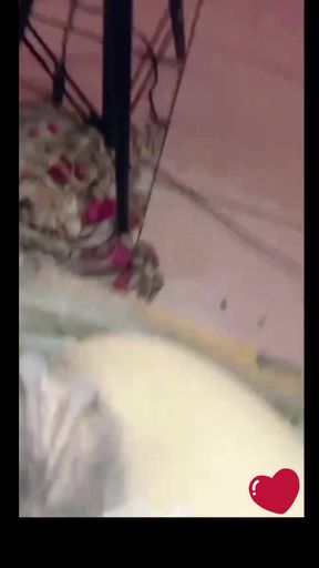 Spectacular moment from &quot;Slimy Wet Pussy Indonesian Girl Itil Looks Very Clear&quot;