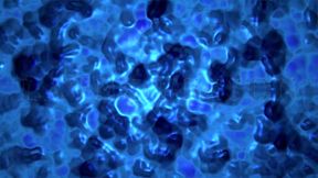 Latex Prison Full Movie