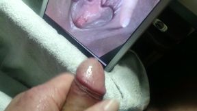 auf die nassse Pussy