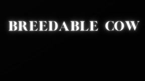 MP4 VERSION BREEDABLE COW
