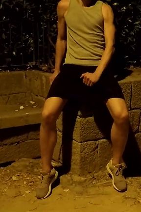 Crusing in a Public Park at Night - Getting Naked