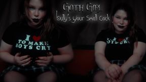 Goth Girl Bullys Your Small Cock