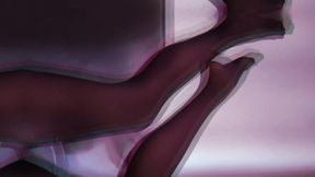 The Art of Nylon Elegance: Ultimate Leg Worship