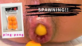 A Chinese stud used a ping pong ball to spawn in his anus. [HD quality
