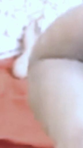 Stunning moment from &quot;Fucking Cute sexy Classmate full night sex Home Study Sex with hindi audio&quot;