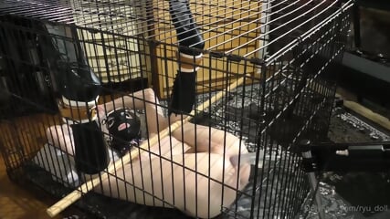 Caged TS vs machine