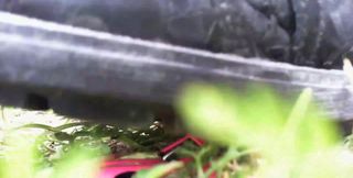 Awesome Crushing Video Watches My Feet Smash a Small Toy Car