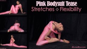 Pink Bodysuit Tease Stretches and Flexibility - mp4 version