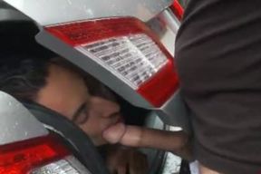 Junk in the Beefstick