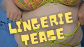 Lingerie Tease wmv