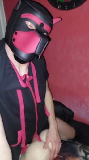 Puppy played with sextoy