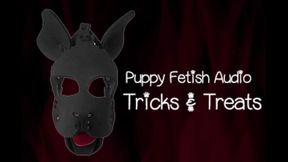 The Puppy Fetish Audio Version