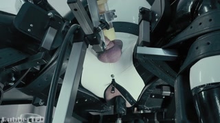 RUBBER PUP BOUND [PP TRAINING]