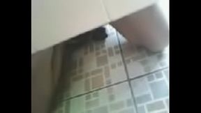 PAJA EN EL BA&Ntilde_O