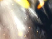 Pussy figi water taste like mango