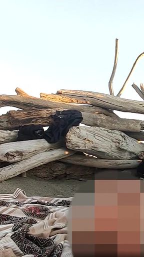Memorable moment from &quot;Public flashing in nude beach sucking and Cumshot of Big Cock in Front of Everyone - MissCreamy&quot;