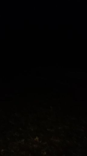 Snotted out while cruising