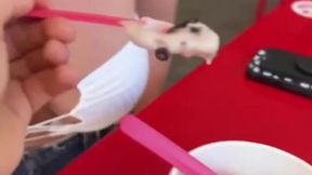 Sexy blonde Kali Roses gets in some hot POV action during a romantic date night