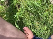 guy pissing outdoors in shorts