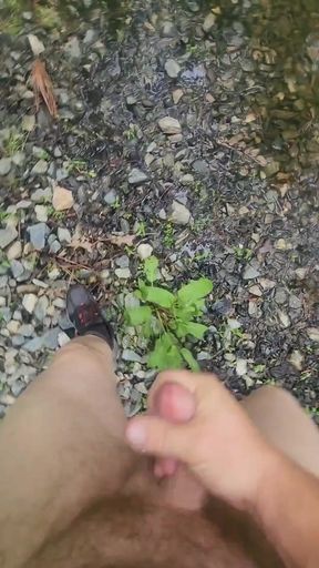 Naked and Jerking in a Random Driveway
