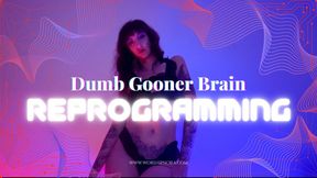 Dumb Gooner Brain Reprogramming