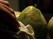ASMR Fruit Fucking PMV