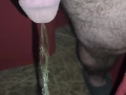 Short 6am pee outside