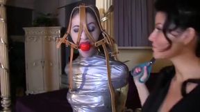 Mummification Of - Terra Mizu