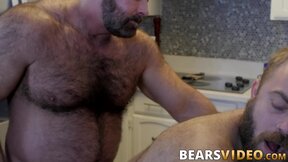 Hairy daddy teases chubby hunk before hardcore barebacking