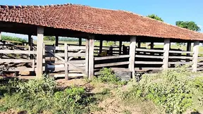 Farm Whore Gets Screwed By Cowboy In Nasty Outdoor Sex