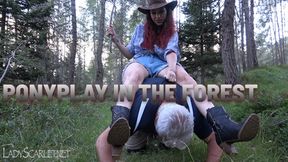 LADY SCARLET - PONYPLAY IN THE FOREST mobile