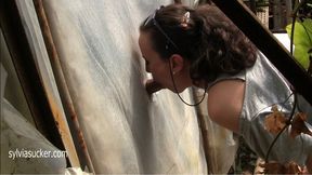 GloryHole Intensieve Blowjob in the Greenhouse! Fetish Art Fantasies by me, Sylvia Chrystall's! Really artistic scene! Natural Lights! 720p Cam 1