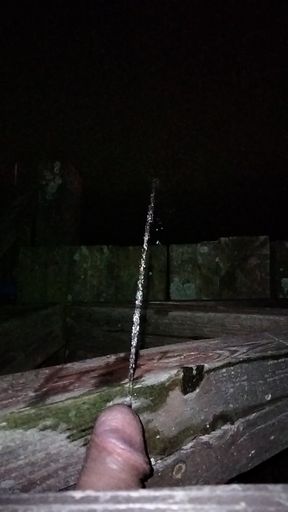 Pee on the pier
