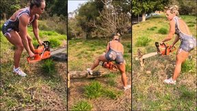 Chainsaw 07 (gasoline) - Revving