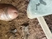 In the cum down pipe
