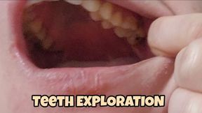 xploring My Teeth Close-Up – Mouth Open, Mouth Shut, Every Detail of My Teeth and Tongue
